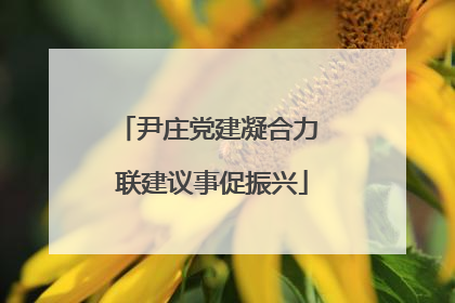 尹庄党建凝合力 联建议事促振兴