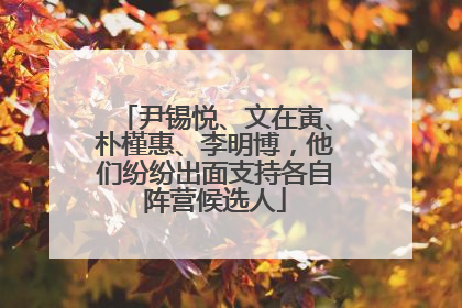 尹锡悦、文在寅、朴槿惠、李明博，他们纷纷出面支持各自阵营候选人