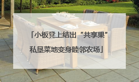 小板凳上结出“共享果” 私垦菜地变身睦邻农场