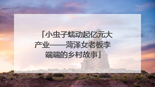 小虫子蠕动起亿元大产业——菏泽女老板李端端的乡村故事
