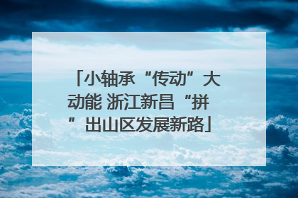 小轴承“传动”大动能 浙江新昌“拼”出山区发展新路