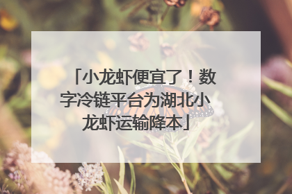 小龙虾便宜了！数字冷链平台为湖北小龙虾运输降本