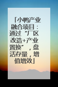 小鸭产业融合项目：通过“厂区改造+产业置换”，盘活存量，增值增效