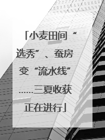 小麦田间“选秀”、蚕房变“流水线”……三夏收获正在进行