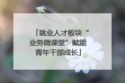 就业人才板块“业务微课堂”赋能青年干部成长