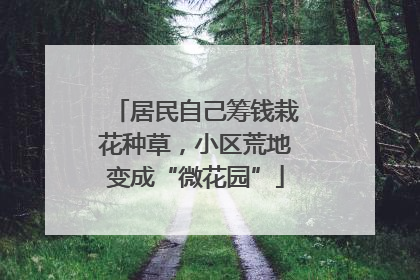 居民自己筹钱栽花种草，小区荒地变成“微花园”