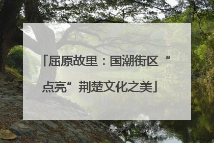 屈原故里：国潮街区“点亮”荆楚文化之美
