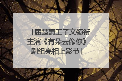 屈楚萧王子文领衔主演《有朵云像你》剧组亮相上影节