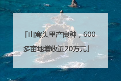 山窝头里产良种，600多亩地增收近20万元