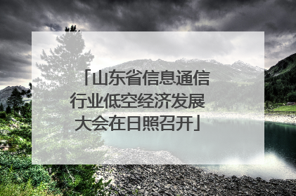 山东省信息通信行业低空经济发展大会在日照召开