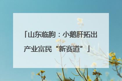 山东临朐：小鹅肝拓出产业富民“新赛道”