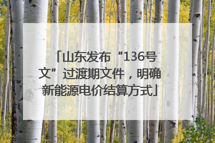 山东发布“136号文”过渡期文件，明确新能源电价结算方式
