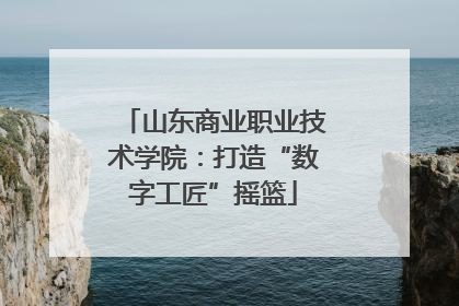 山东商业职业技术学院：打造“数字工匠”摇篮