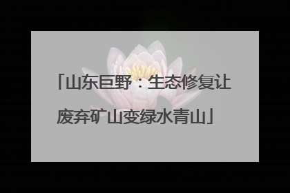 山东巨野：生态修复让废弃矿山变绿水青山