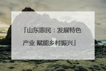 山东惠民：发展特色产业 赋能乡村振兴