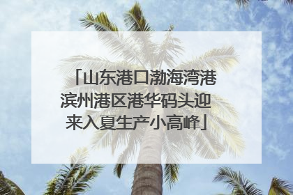 山东港口渤海湾港滨州港区港华码头迎来入夏生产小高峰