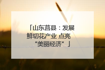 山东莒县：发展鲜切花产业 点亮“美丽经济”
