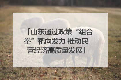 山东通过政策“组合拳”靶向发力 推动民营经济高质量发展