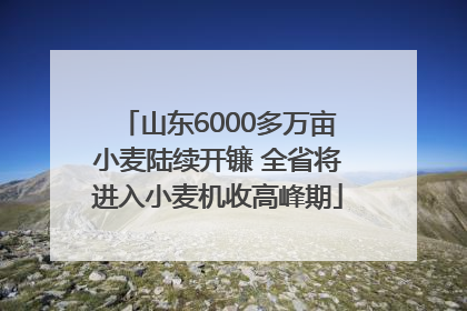 山东6000多万亩小麦陆续开镰 全省将进入小麦机收高峰期