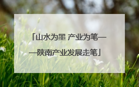 山水为墨 产业为笔——陕南产业发展走笔