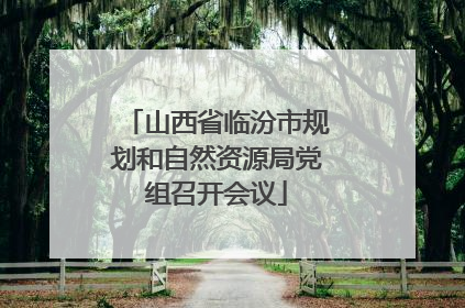 山西省临汾市规划和自然资源局党组召开会议