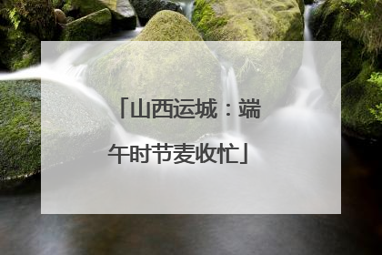 山西运城：端午时节麦收忙