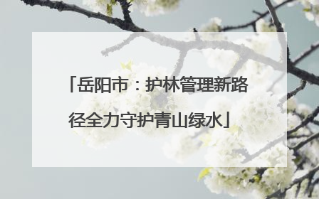 岳阳市：护林管理新路径全力守护青山绿水