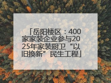 岳阳楼区：400家家装企业参与2025年家装厨卫“以旧换新”民生工程