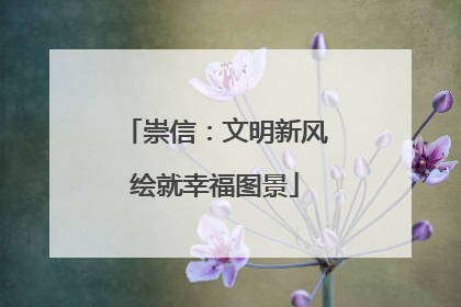 崇信：文明新风绘就幸福图景