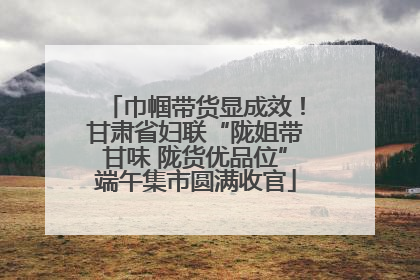 巾帼带货显成效！甘肃省妇联“陇姐带甘味 陇货优品位”端午集市圆满收官