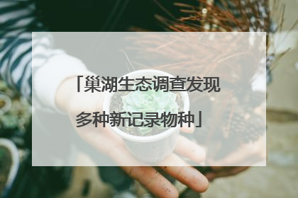 巢湖生态调查发现多种新记录物种