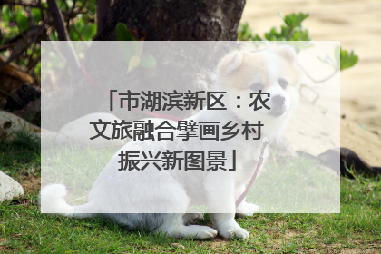 市湖滨新区：农文旅融合擘画乡村振兴新图景