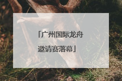 广州国际龙舟邀请赛落幕