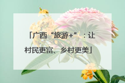 广西“旅游+”：让村民更富、乡村更美