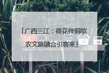 广西三江：荷花伴侗歌 农文旅融合引客来