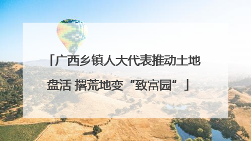 广西乡镇人大代表推动土地盘活 撂荒地变“致富园”
