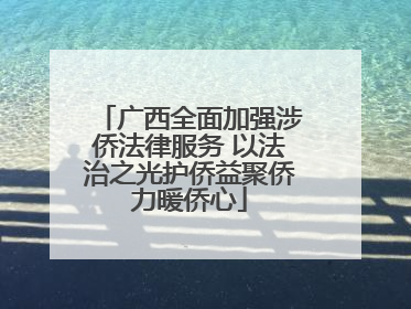 广西全面加强涉侨法律服务 以法治之光护侨益聚侨力暖侨心