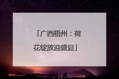 广西梧州：荷花绽放迎盛夏