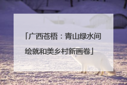 广西苍梧：青山绿水间绘就和美乡村新画卷