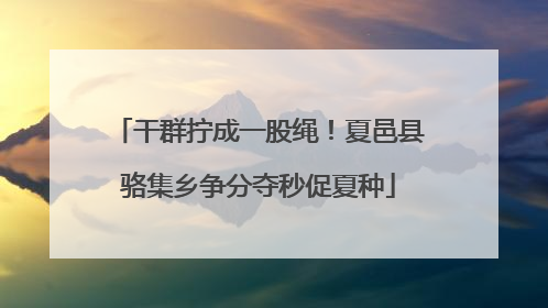 干群拧成一股绳！夏邑县骆集乡争分夺秒促夏种