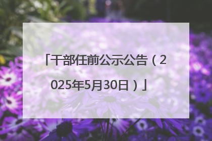 干部任前公示公告（2025年5月30日）