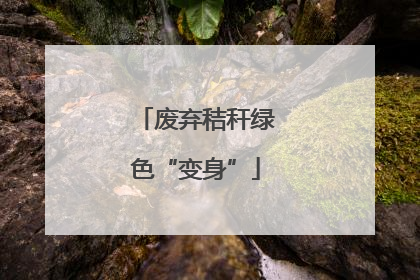 废弃秸秆绿色“变身”