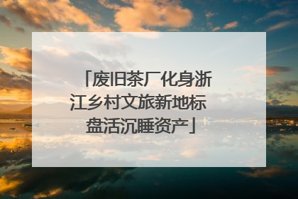 废旧茶厂化身浙江乡村文旅新地标 盘活沉睡资产