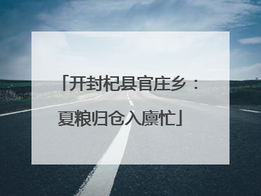 开封杞县官庄乡：夏粮归仓入廪忙