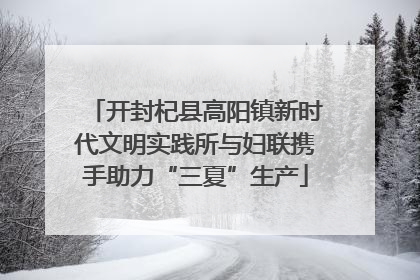 开封杞县高阳镇新时代文明实践所与妇联携手助力“三夏”生产