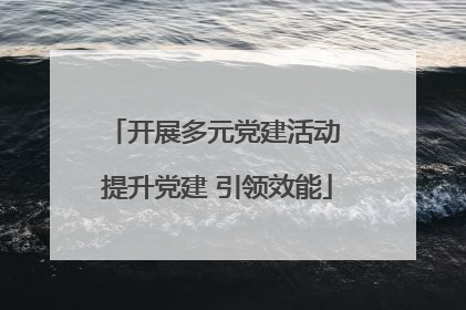 开展多元党建活动 提升党建 引领效能