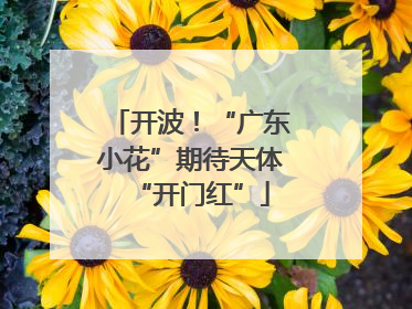 开波！“广东小花”期待天体“开门红”