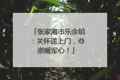 张家港市乐余镇：关怀送上门，尊崇暖军心！