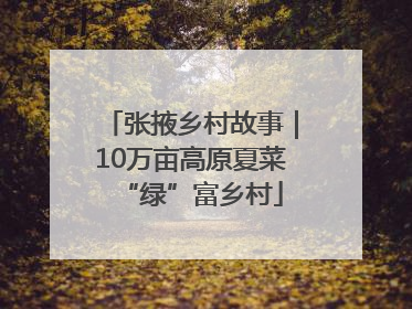 张掖乡村故事｜10万亩高原夏菜“绿”富乡村