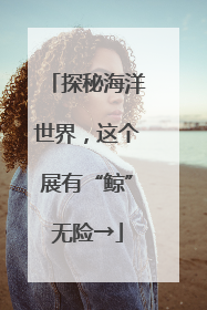 探秘海洋世界，这个展有“鲸”无险→